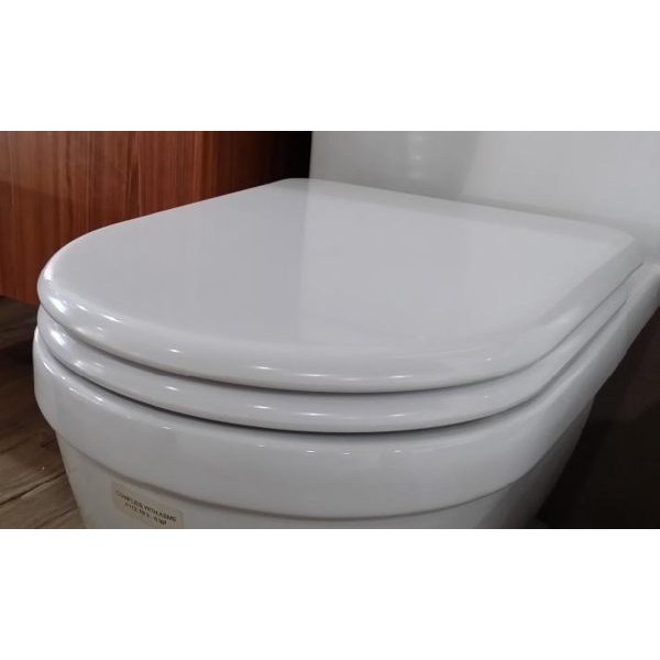 【衛浴的醫院】抗菌 緩降 馬桶蓋 (歐規) A-459-4 德久舊款馬桶可適合安裝
