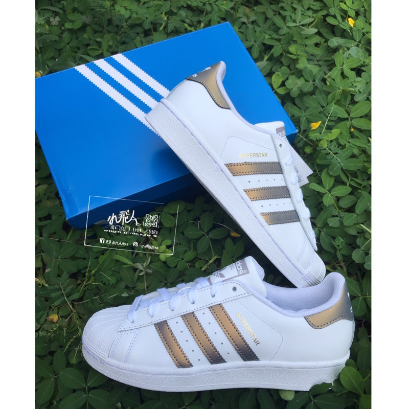 情侶ADIDAS SUPERSTAR(D98001) | 蝦皮購物