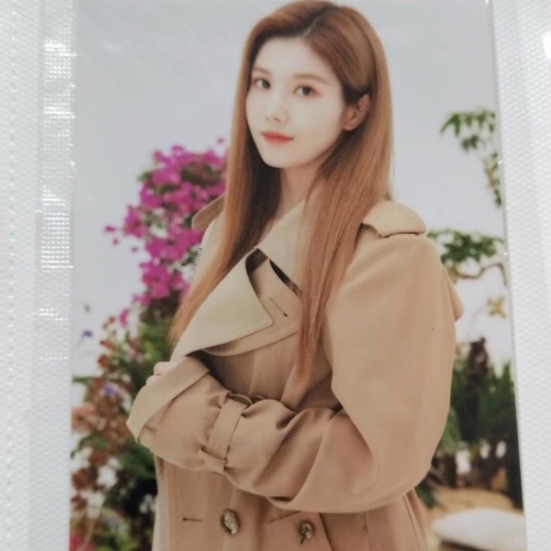 IZ*ONE 生写真 izone 生寫真通常盤的價格推薦- 2026年8月| 比價比個夠BigGo