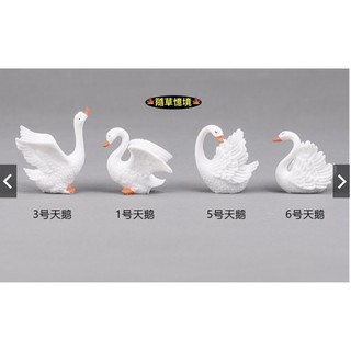 （8款高品質樹脂）天鵝 鵝 羽毛刻畫 白天鵝 情侶 微景觀 樹脂 擺件 創意盆景 DIY多肉裝飾 公仔