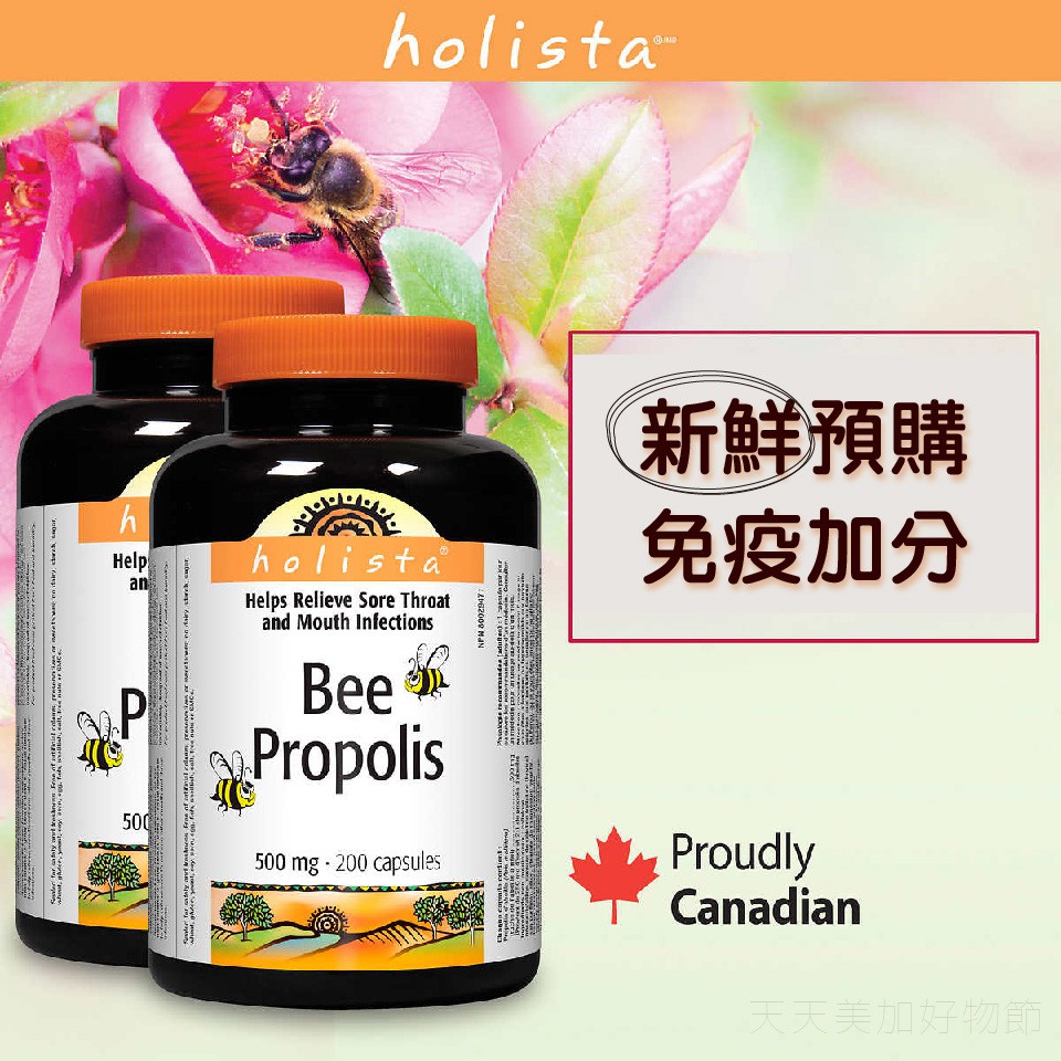 ✔️蝦皮代開發票✔️現貨在台2029 加拿大holista蜂膠膠囊 500mg 200顆 加拿大代購