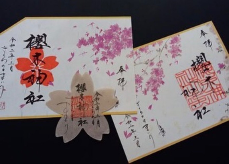 櫻木神社令和二年櫻花日參拜御朱印組 蝦皮購物