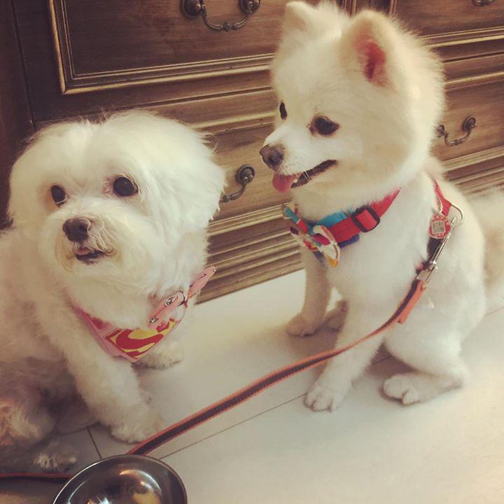 [情報] 性感品牌free people暢貨特賣5折(台北)