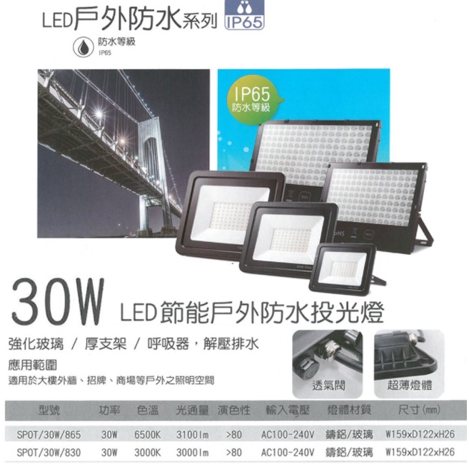 大同LED 紅外線感應戶外投光燈 投射燈 30W 50W 全電壓 黃光 白光 IP65 防水型