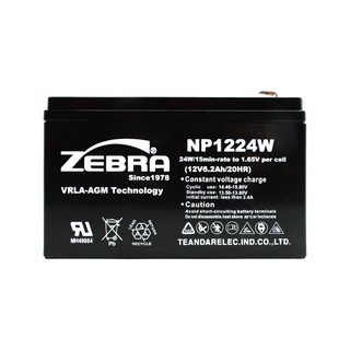 (CSP) NP1224W 12V6.2AH 密閉式電池 不斷電設備專用 UPS電源