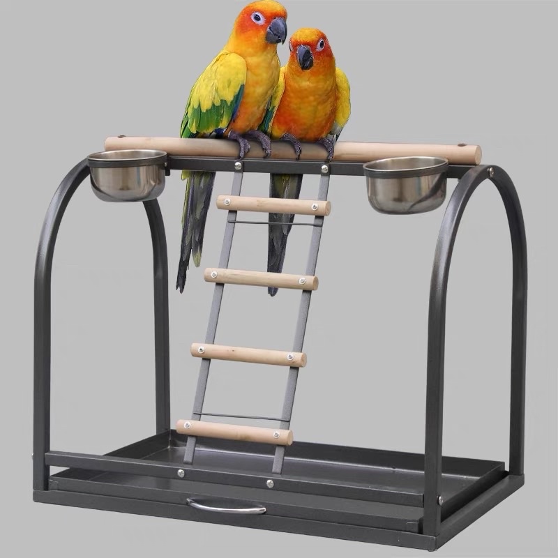 二手站台 金屬鳥架子鸚鵡鳥具用品爬梯站棍站杆觀賞桌面鸚鵡站台