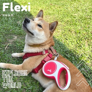 艾爾發寵物 | 德國 FLEXI 飛萊希 幻彩系列 帶狀伸縮牽繩 寵物牽繩 🔸臺灣總代理公司貨