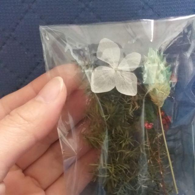 乾燥花手作插畫卡片 乾燥花材搭配可愛手繪 無論是用來做感謝卡還是祝福卡片都可以 也有材料包販售 蝦皮購物