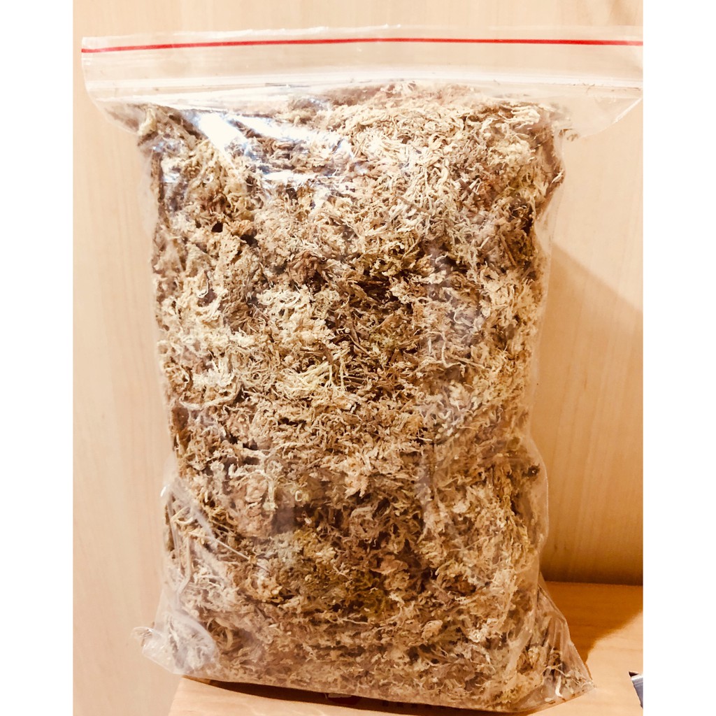 現貨-水苔（智利水苔） 1g公克= 1元 （最小訂購量100g)燥水苔 乾燥水草「小祐之屋」@_@