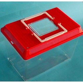 🔬實驗教具🔬水族箱 生物 魚缸 觀察箱 塑膠 附把手