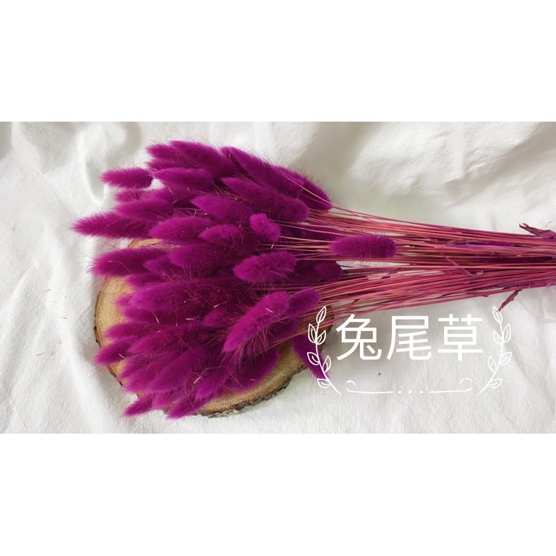 J&f染色兔尾草乾燥花