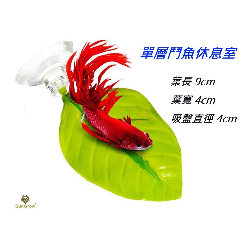 鬥魚繁殖的價格推薦第3 頁 21年1月 比價比個夠biggo
