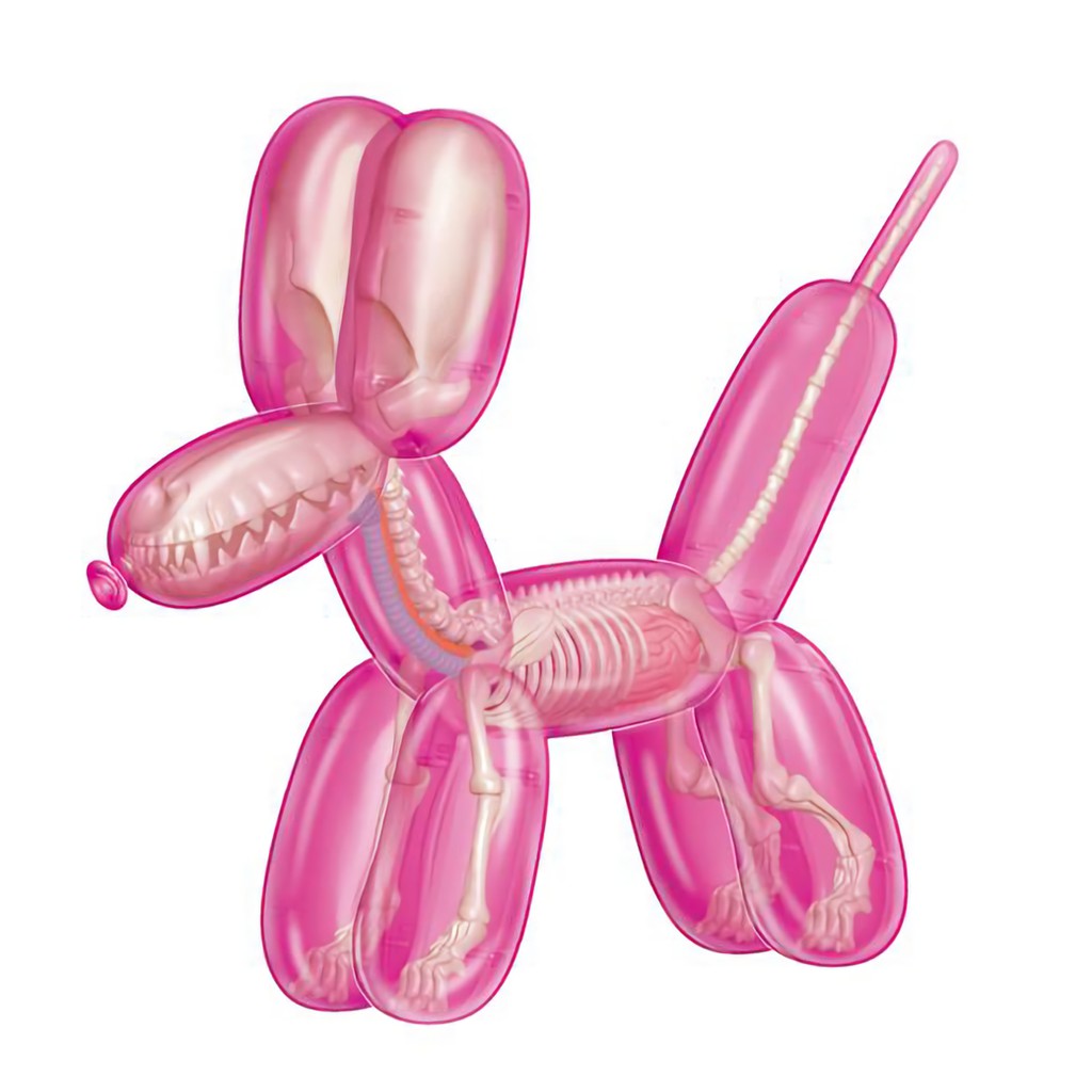 4D MASTER Balloon Dog Anatomy/ Pink 粉紅/ Large 誠品eslite