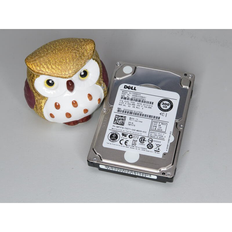 DELL 04GN49 300GB 15K AL13SXB300N 6G SFF 2.5'' SAS