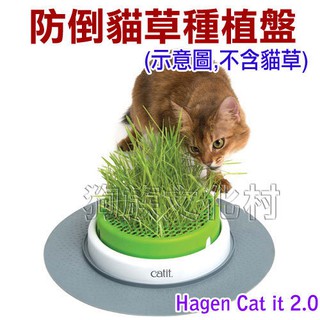赫根Hagen Catit 2.0 貓草種植盤(不含貓草)31610 專為貓咪設計 還可另加購週邊配件