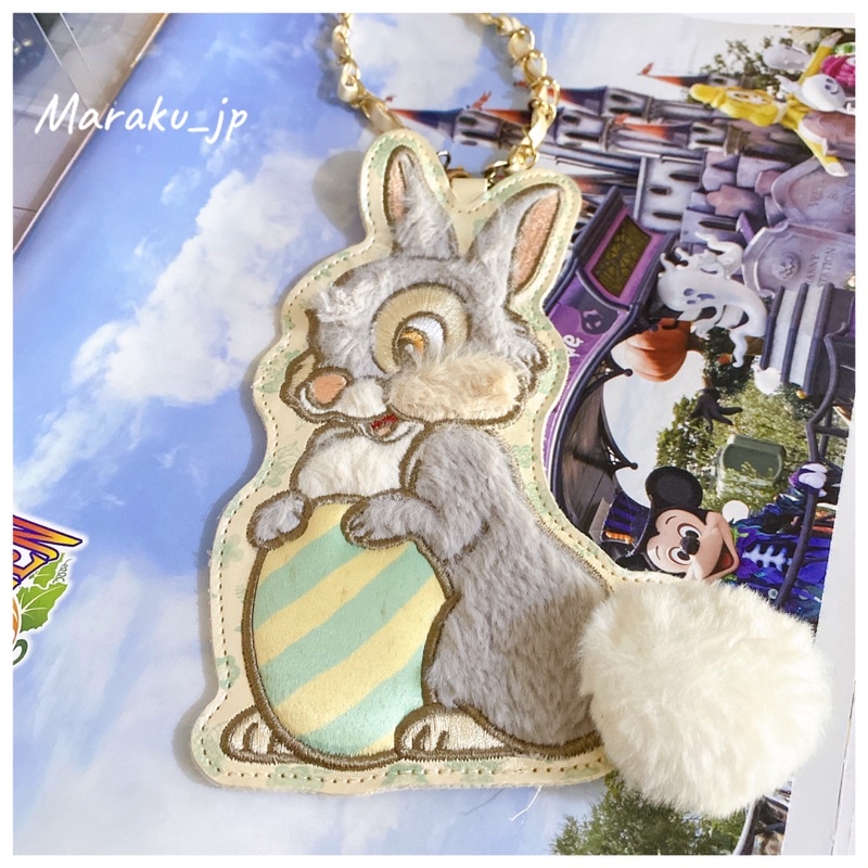 二手品🇯🇵日本東京迪士尼園區限定 邦尼兔 兔子 桑普 票卡套 車票夾 證件夾 證件套 悠遊卡套