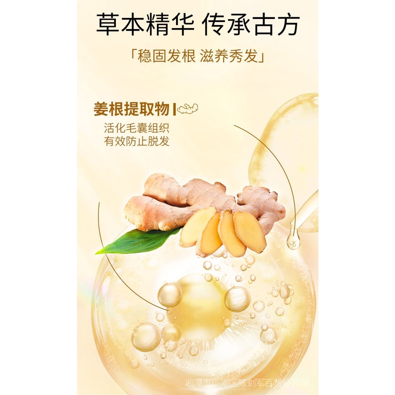優惠裝修正姜約防脫洗髮露草本固發養髮增發強韌髮根濃密秀髮滋養頭皮 蝦皮購物