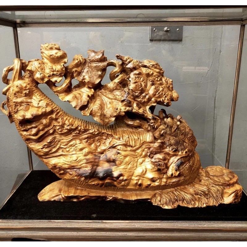 黃金樟瘤（藝術品）含玻璃框