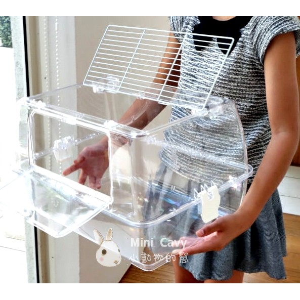 Mini Cavy♥ 透明基礎飼育籠 鼠籠 (鼠、刺蝟、陸龜、爬蟲皆可) LillipHut 麗利寶2082