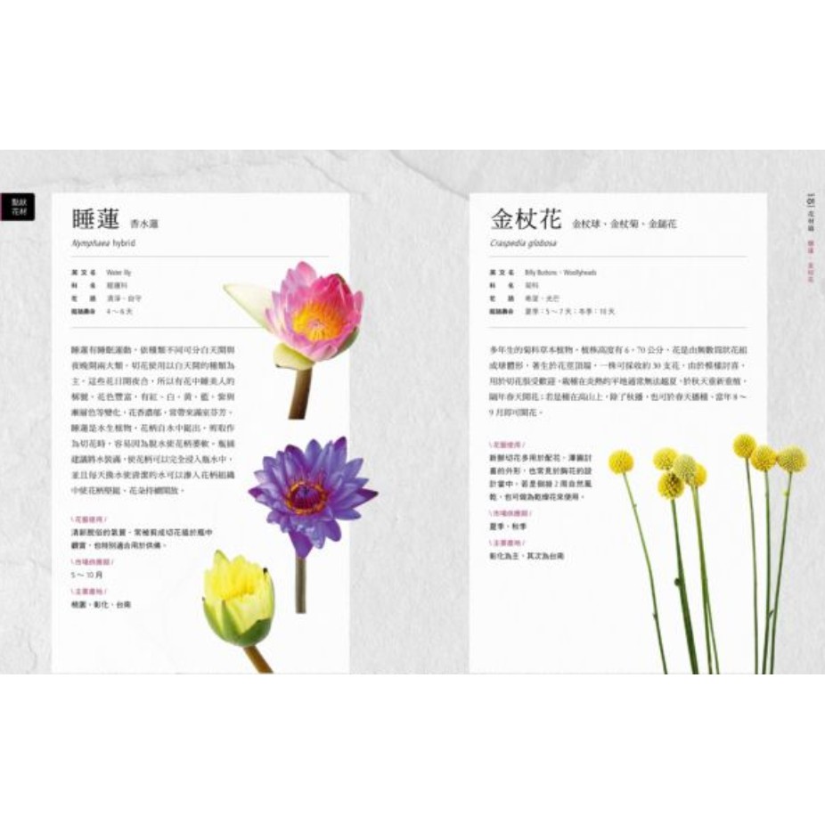 木可閱讀網 花藝素材百科 600種切花 乾燥花 永生花材完全圖鑑 活的花藝移動的花園組合盆栽全書 蝦皮購物