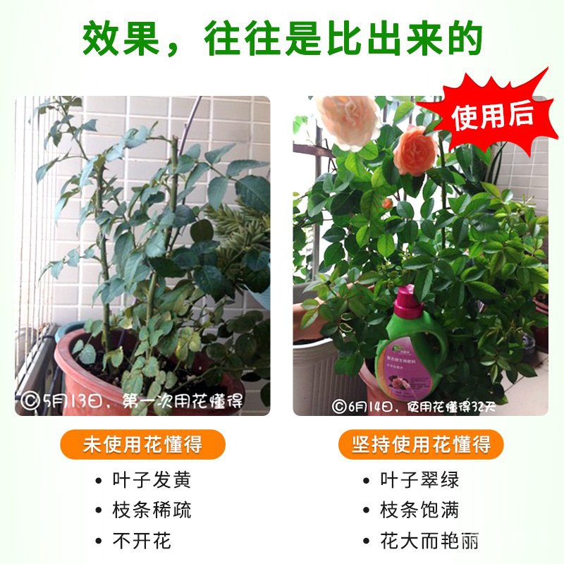 花懂得薔薇催花複合肥月季花肥專用型有機肥料歐月玫瑰花營養液 蝦皮購物