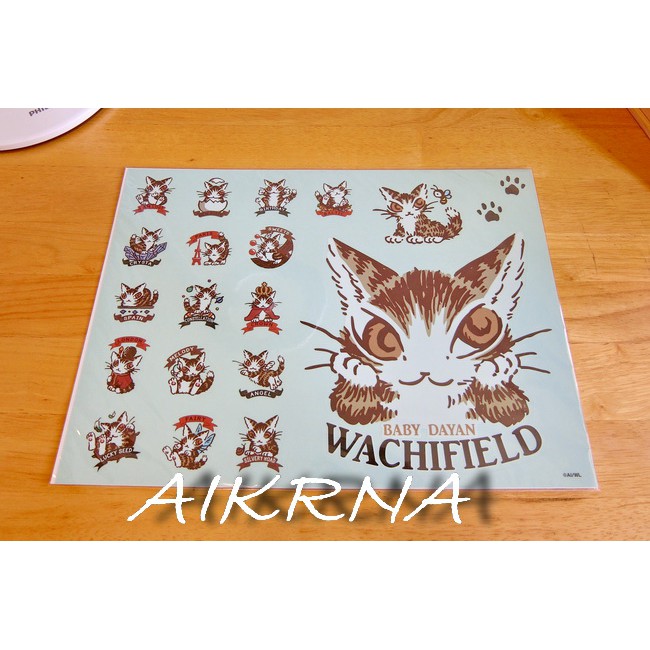 wachifield-dayan(瓦奇菲爾德,達洋)~全新品貓咪單面防水大貼紙~baby