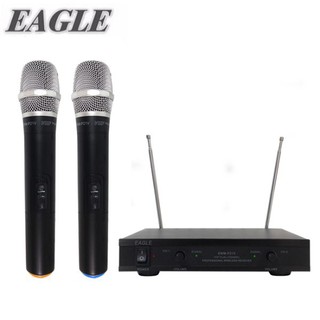 蝦幣十倍【EAGLE】雙電壓專業級雙頻無線麥克風組 EWM-P21V 遊覽車戶外露營12V可用 長距離30公尺