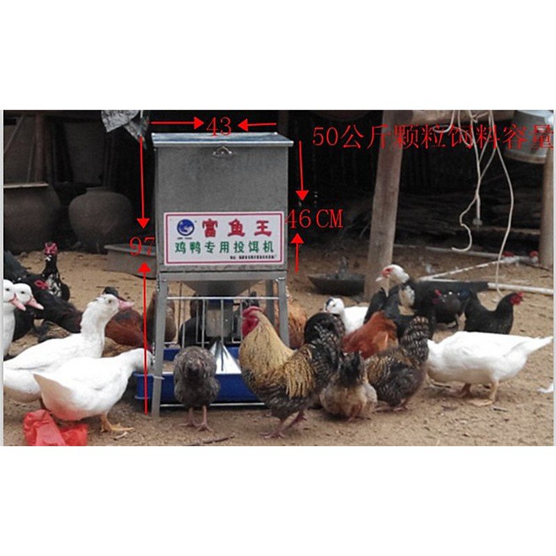 現貨當天寄出50KG容量 雞鴨自動餵食機 雞鴨自動餵食器 雞鴨自動投料器 自動投料機 自動投餌機自動餵飼料機 自動投餵機