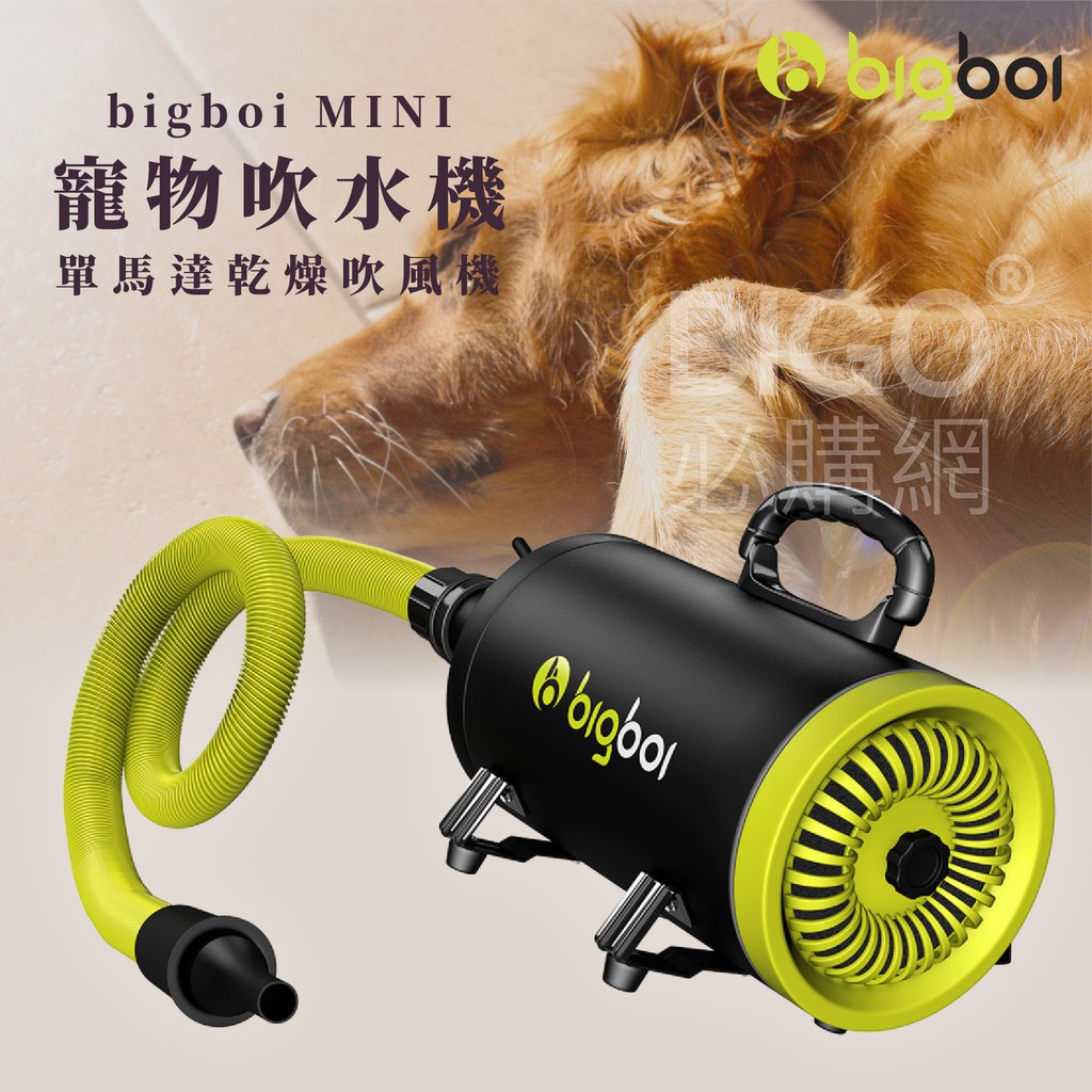 今天免運~澳洲寵物 吹風機 bigboi MINI 低噪音 寵物吹水機 吹風機 汽機車可用 恆溫設計 寵物 健康零損害