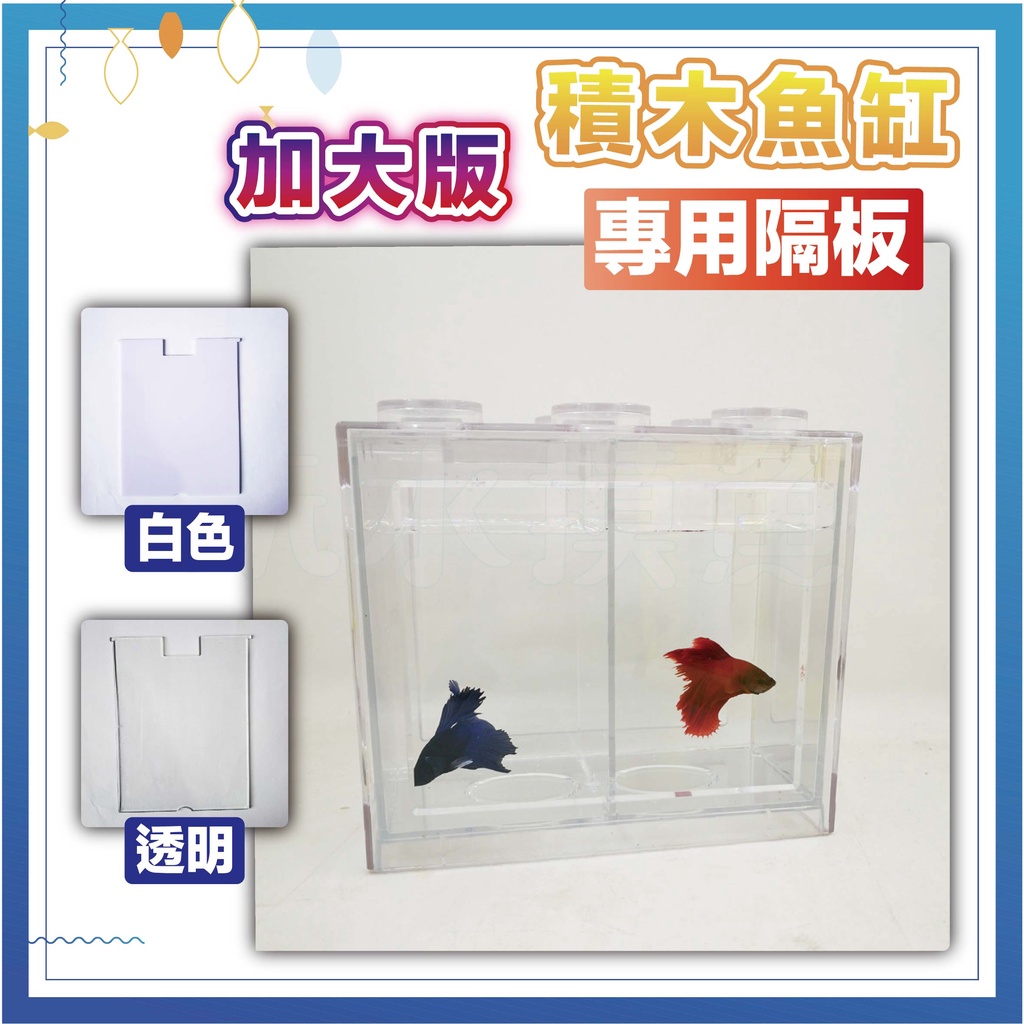 【加大款積木魚缸專用】 隔離板 隔板 分隔飼養 孵化 白色 透明