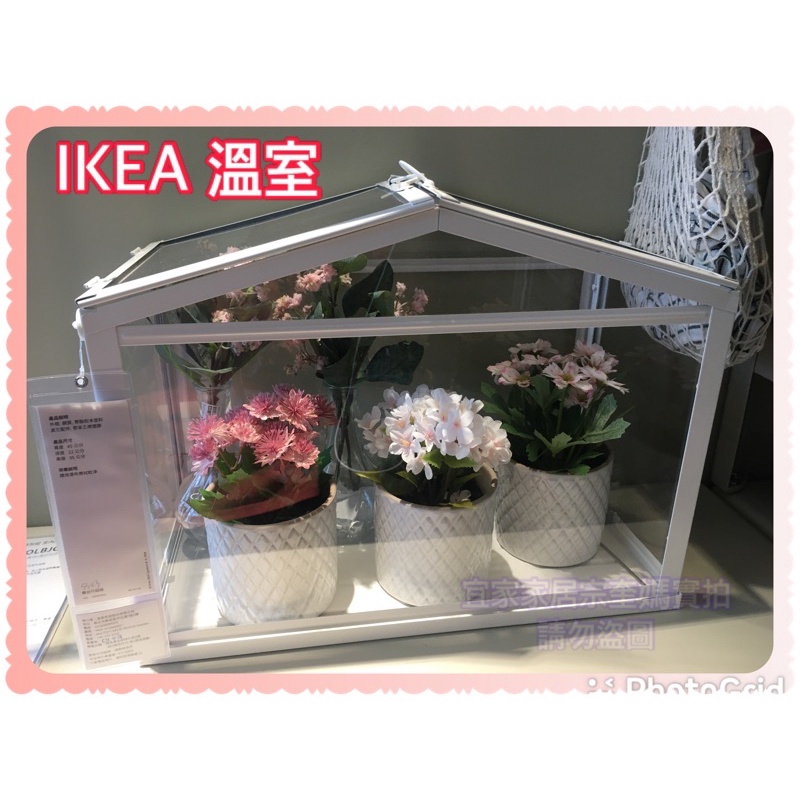 IKEA SOCKER 溫室 展示櫃  種花植物 白色 室內/戶外用 提供良好的環境讓植物及幼苗生長