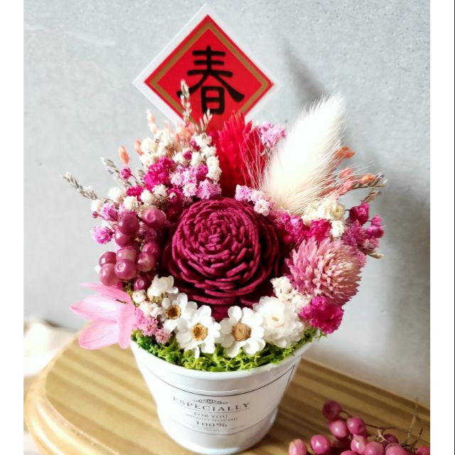 新年喜氣洋洋乾燥花居家裝飾園藝婚禮新年過年小盆栽乾燥花滿天星 蝦皮購物