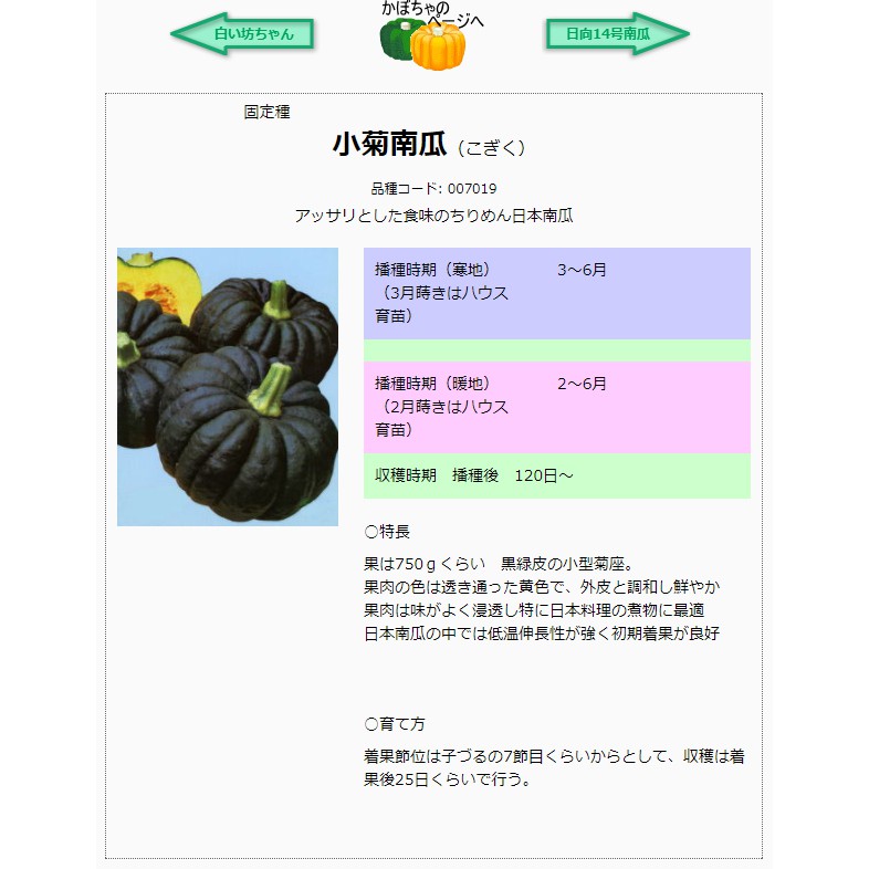 12tw Com Sd Pk3 巨型南瓜南瓜種子 仙人掌多肉愛心番杏科開根劑多肉兔耳種子多肉種子 蝦皮購物