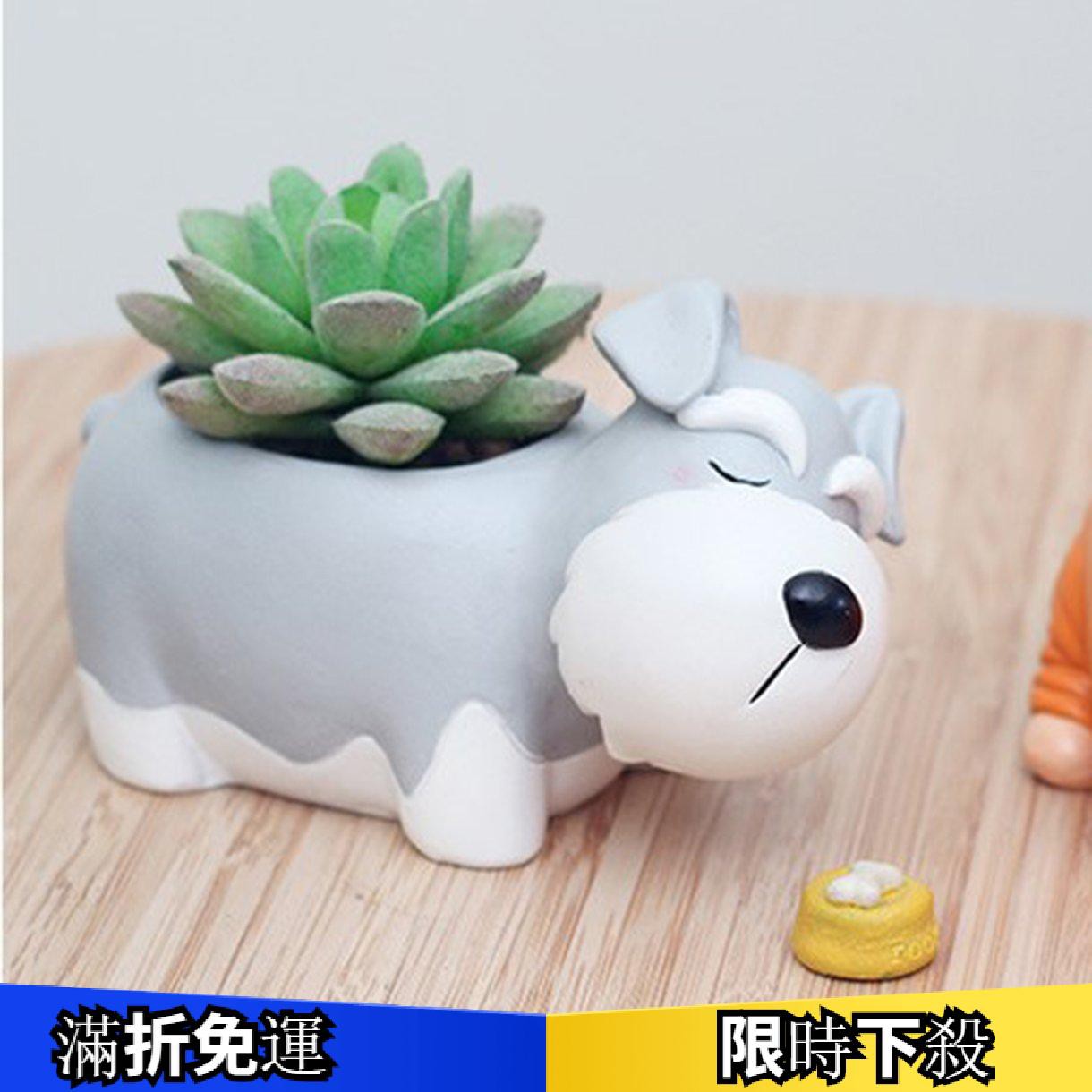 迷你植物多肉植物可愛的狗雪納瑞花盆花盆容器 Twenty Mille 蝦皮購物