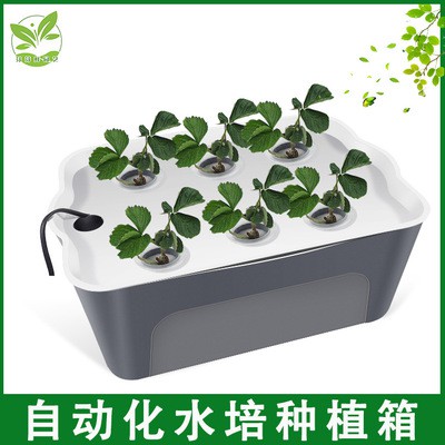 玩聚6窗台水耕種菜自動循環水培種植箱 6槽孔徑45mm 水耕綠化 蝦皮購物