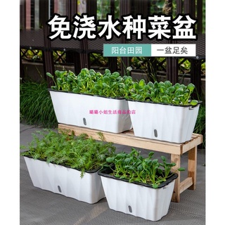 【璐璐】✱吸水盆✱現貨 自動吸水花盆種菜神器家庭陽臺長方形懶人花槽塑膠種植箱蔬菜盆栽 sy.tw