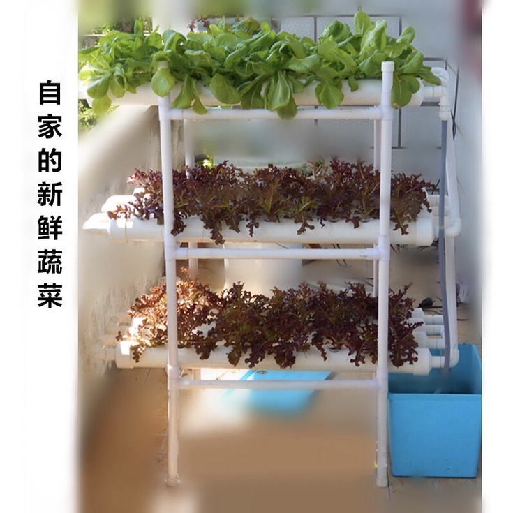 魚菜共生設備的價格推薦 22年9月 比價比個夠biggo