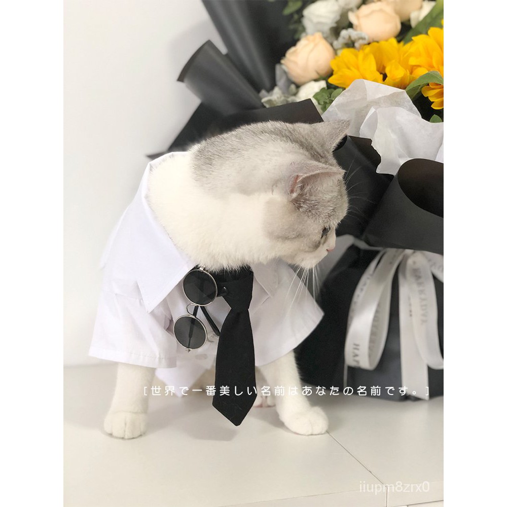 你的貓系x犬系男友 貓咪狗狗襯衣襯衫英短泰迪比熊小型犬衣服春夏 多瑞咪 蝦皮購物