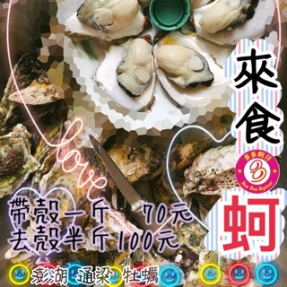 澎湖帶殼牡蠣的價格推薦 21年8月 比價撿便宜