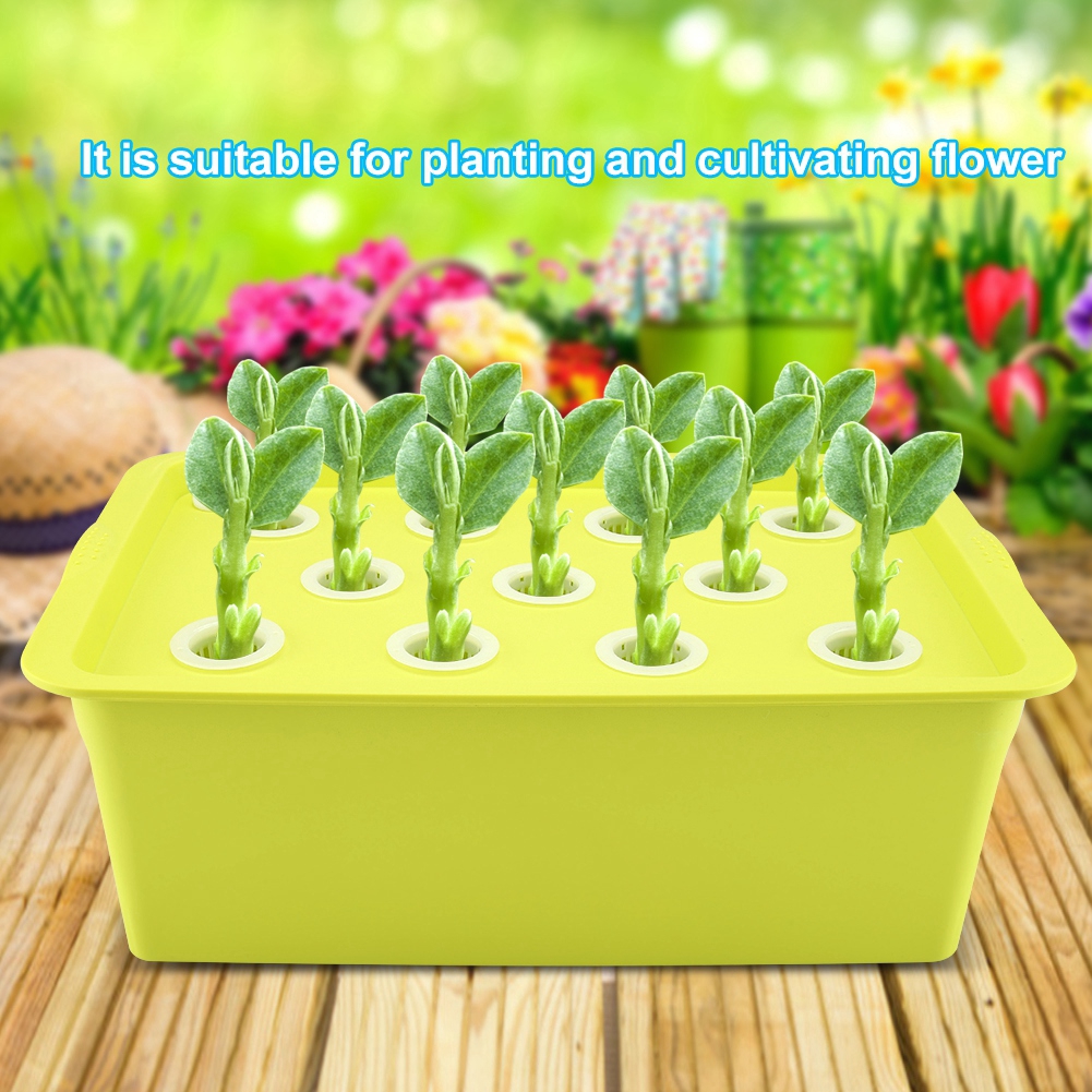 11孔水培種植植物水無土栽培箱 蝦皮購物