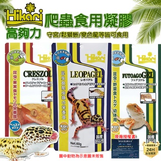 PJ小舖 高夠力 Hikari 豹紋肥尾守宮凝膠飼料果泥鬆獅蜥睫角巨人蓋勾亞魔物食蟲食果雜食爬蟲 兩棲 爬寵 龜室
