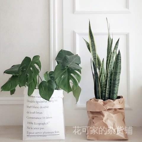 現貨 Ins紙袋北歐風雙層法文紙袋英文紙袋收納加厚牛皮紙袋家居整理 蝦皮購物