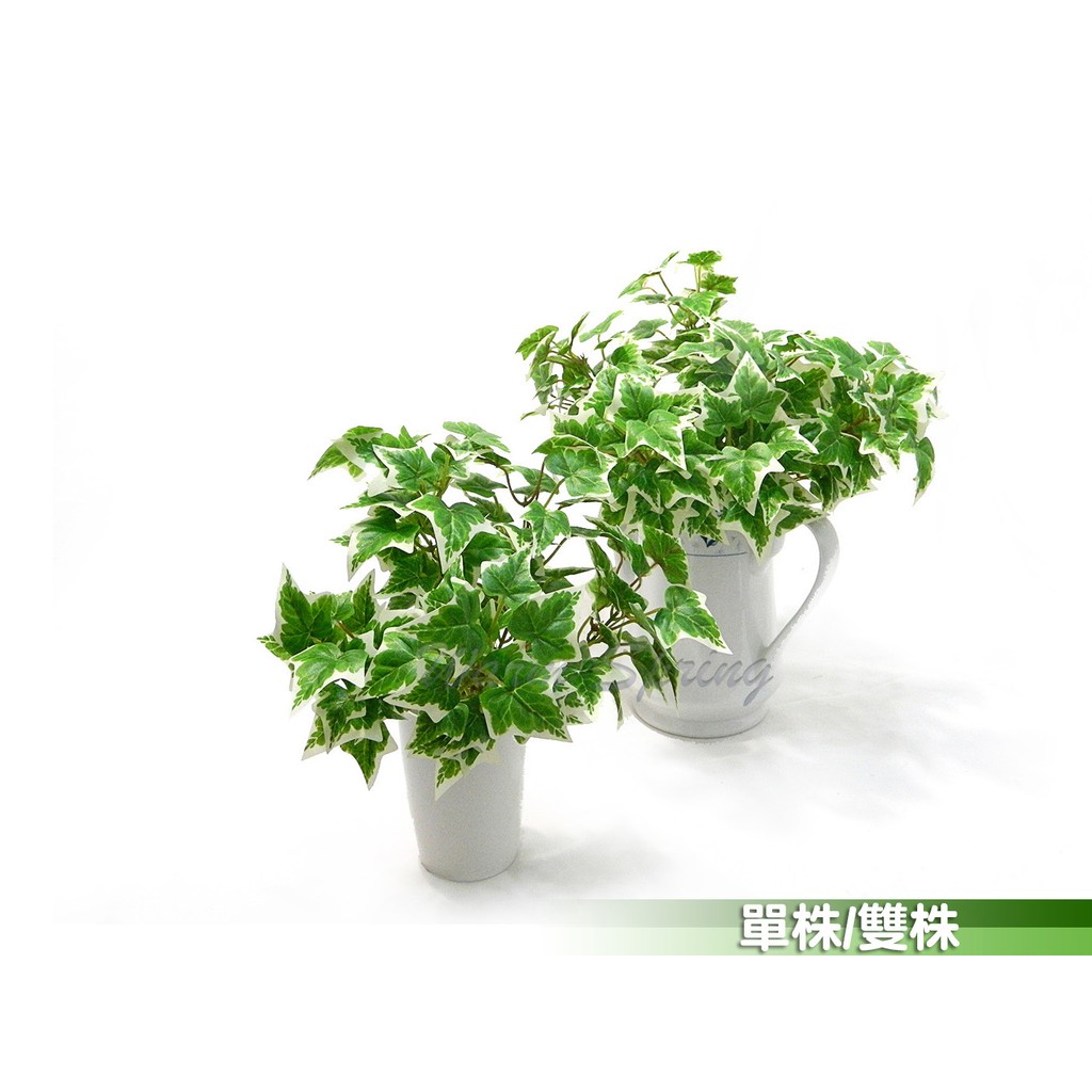精緻高品質仿真人造花短款長春藤常春藤木蔦造景適用於塑造密植效果 蝦皮購物