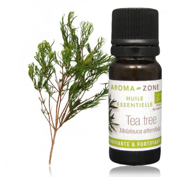 Aroma-Zone 有機茶樹精油 Tea tree BIO 🌱