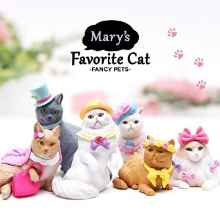 Mary's Favorite Cat 時尚寵物貓咪（Lili異短貓）時尚萌寵 #2