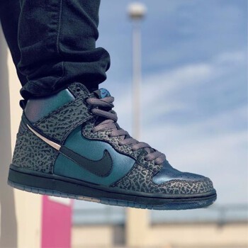 nike sb hornet dunk