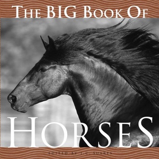 《文化國際通》9781599620138 The Big Book of Horses-馬的全書《馬匹大全》(稍有氾黃)