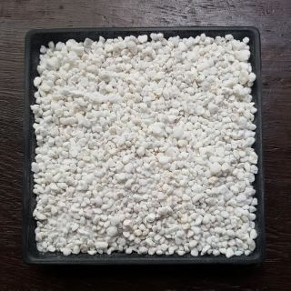 珍珠石 真珠石 2公升 4公升 分裝包