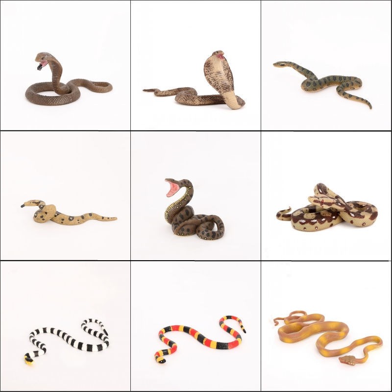 仿真爬行動物蛇類模型眼鏡蛇大蟒蛇銀環蛇綠森蚺認知玩具造景擺件 蝦皮購物