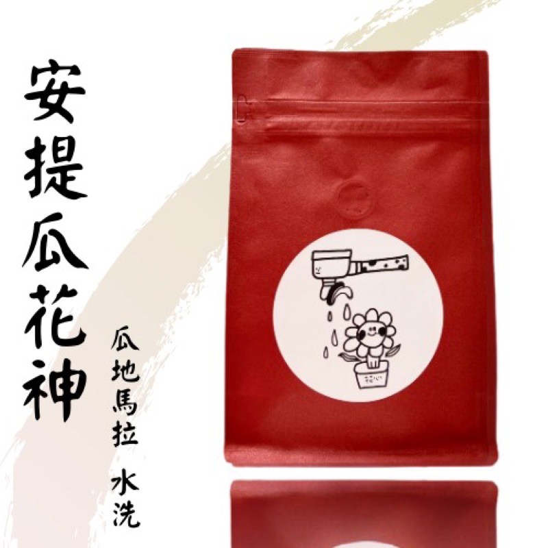 花心咖啡｜瓜地馬拉 花神 花神圓豆 迷霧山谷 水洗  單品咖啡 平價批發  手沖咖啡 平價咖啡 量販 咖啡豆